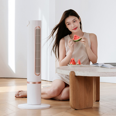 Quạt tháp làm mát không cánh Năm tốc độ Máy làm mát bằng pin Polymer Quạt làm mát