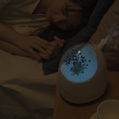 Máy Khuếch Tán Tinh Dầu Điều Khiển Từ Xa Hoa Máy Tạo Ẩm Không Khí Hương Liệu 400ml